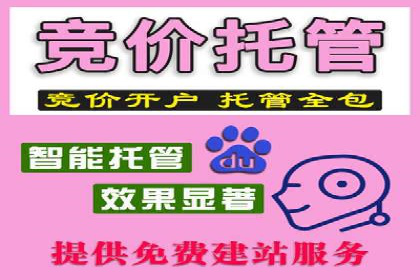 案例研究：关键词竞价排名效果评估